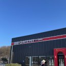 리츠펫 선물 이미지