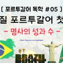 가장 쉬운 포르투갈어 브라질어 첫걸음의 모든 것 | [포르투갈어] 브라질 포르투갈어 첫걸음 #05 - 명사의 성과 수 / 포어,브라질어독학,남미여행