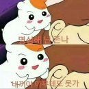 우루루 이미지