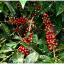 진가농장 이미지