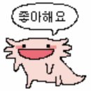 고려대현대차경영관점블루포트