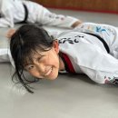 경희대 에이스태권도 이미지