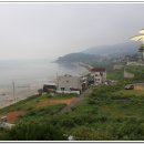 내리해물 이미지