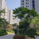 배화 골프 이미지