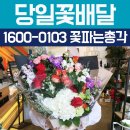 감만사회복지관 | 당일꽃배달로 급한기념일 챙기자!