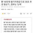 野 '40만원 물가지원금'으로 30조 추경 힘싣기…정부는 '난색' 이미지