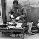 장터이야기