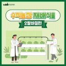 오팔농장 이미지