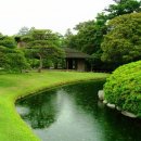 여름의 숲 이미지