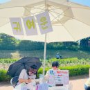 벌교읍행정복지센터 | [ 전남 순천 ] 2026 순천 장미축제 현장 후기 | 2026.05.16 장미꽃 실시간 개화율 | 주차꿀팁