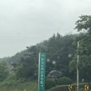[캠핑] 부여 만수산자연휴양림 야영장 명당 19번 데크 후기