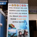 해림호 회 포차 | [충북혁신도시맛집] 산오징어회 포차감성 '해림호회포차' 솔직 후기