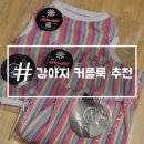 강아지 커플룩 추천 누앤누 캔디바 크롭티 팬츠 시밀러룩 내돈내산