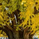 반계1리마을회관 이미지