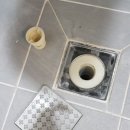 더 센트로드 네이버블로그