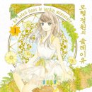 솔레이유 이미지