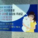 CU 신호점 네이버블로그