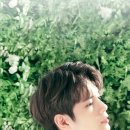 예쁜이야기