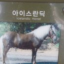마당목장 네이버블로그