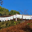 봄헬스케어㈜ 이미지