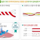 주식회사 쉴드