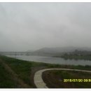 기성망양 이미지