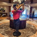 테디벨리 이미지