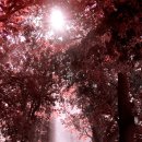 생각나면 - 구리시 | 생각나면