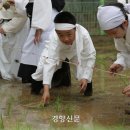 서울미동초등학교 이미지