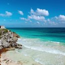 MELT(멜트) 이미지