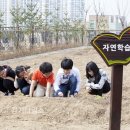 대상화훼