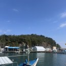 처제수산 | 속초 고성 가리비 맛집 추천, 낭만 터지는 백도수산 후기
