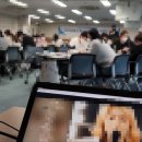 피드백기술 이미지