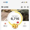 유나농장 이미지