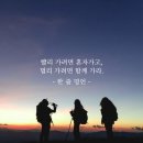 인셀덤구미