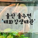 해양생태관 | 울산] 24.12.01-울주군 &#39;태화강 생태관&#39;