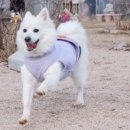 숲멍