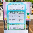 팜팜(농협경제지주(주) 안성팜랜드) | 안성팜랜드 승마체험6살,레이싱카트타기,전동자전거...체험,카페(팜키즈마을)어린이날 내돈내산 솔직후기