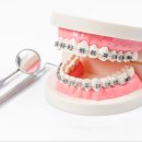 창원탑치과의원 이미지