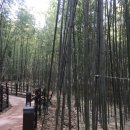 대나무공원 화장실 이미지