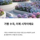 신흥목장 | 2025 가평 수국축제 일정·입장료·포토존까지 한눈에 보기