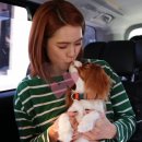 쎈디자인 엑스포츠뉴스