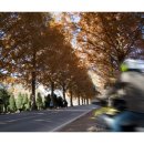 탑연합치과의원 이미지