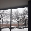 로터스커피앤베이커리 이미지