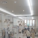마루위의 고양이 네이버블로그
