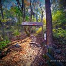 누비길5구간 이미지