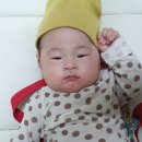 대구신참떡뽁이 이미지