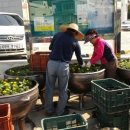 서강동 주민센터 이미지