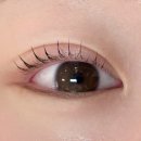 맥주펌 | 디릴리에뷰티 속눈썹펌 후기 친절한 사장님과 완벽한 시술(내돈내산 솔직리뷰)