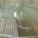 오성2농장 이미지